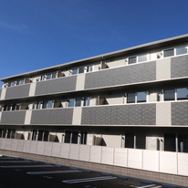 サンフローラ　ジャスミン