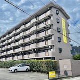 ウェルス別府